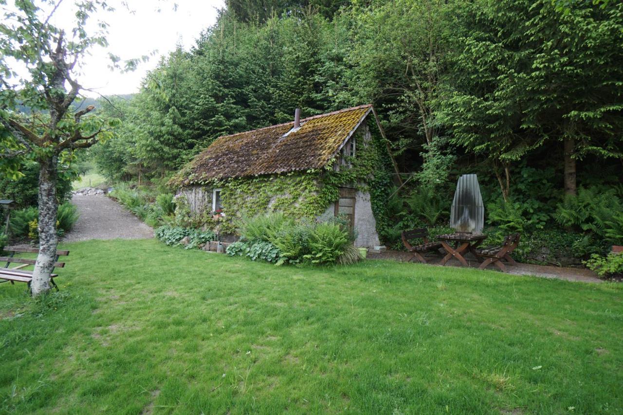 Ferienwohnung Rohrhardsberg - Stubenhof, Black Forest Simonswald Exterior foto